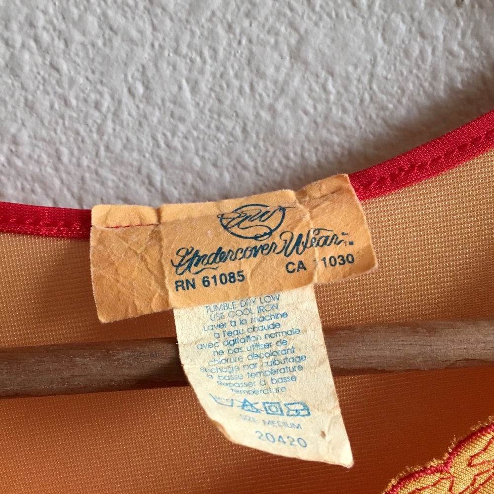 Vintage 70s Tangerine Dream Nightgown with Red Accents - Picture 4 of 5